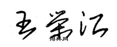 朱錫榮王榮江草書個性簽名怎么寫