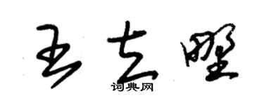 朱錫榮王立野草書個性簽名怎么寫