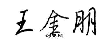 王正良王金朋行書個性簽名怎么寫