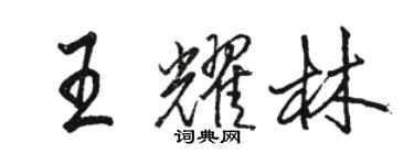 駱恆光王耀林行書個性簽名怎么寫