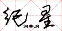 朱錫榮紀星草書怎么寫