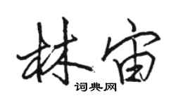 駱恆光林宙行書個性簽名怎么寫