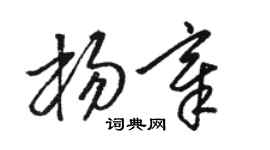 駱恆光楊章草書個性簽名怎么寫