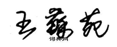 朱錫榮王蘇苑草書個性簽名怎么寫