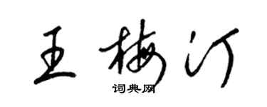 梁錦英王梅汀草書個性簽名怎么寫