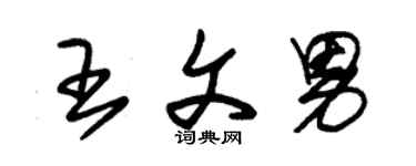 朱錫榮王文男草書個性簽名怎么寫