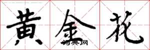 周炳元黃金花楷書怎么寫
