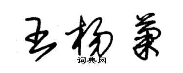 朱錫榮王楊菊草書個性簽名怎么寫