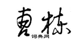 曾慶福曹棟草書個性簽名怎么寫