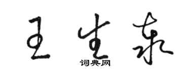 駱恆光王生泰草書個性簽名怎么寫