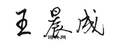 駱恆光王晨成行書個性簽名怎么寫