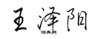 駱恆光王澤陽行書個性簽名怎么寫