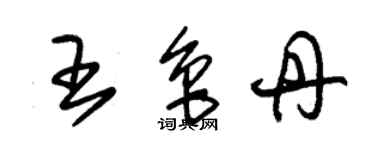 朱錫榮王魯丹草書個性簽名怎么寫