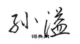 駱恆光孫溢行書個性簽名怎么寫