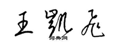 梁錦英王凱飛草書個性簽名怎么寫