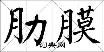 翁闓運肋膜楷書怎么寫