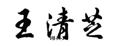 胡問遂王清芝行書個性簽名怎么寫