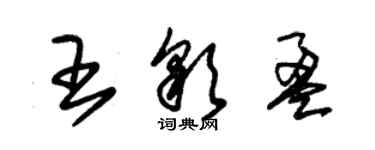 朱錫榮王彩盈草書個性簽名怎么寫