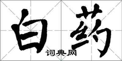 翁闓運白藥楷書怎么寫