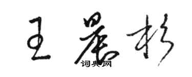 駱恆光王晨杉草書個性簽名怎么寫