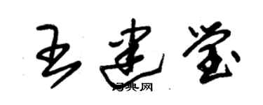 朱錫榮王建瑩草書個性簽名怎么寫