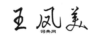 駱恆光王鳳美行書個性簽名怎么寫