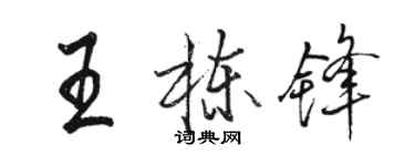 駱恆光王棟鋒行書個性簽名怎么寫