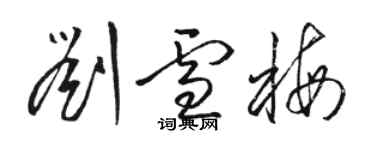 駱恆光劉雪梅草書個性簽名怎么寫