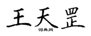丁謙王天罡楷書個性簽名怎么寫