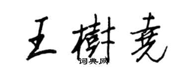 王正良王樹堯行書個性簽名怎么寫