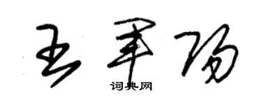 朱錫榮王軍陽草書個性簽名怎么寫
