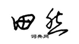 朱錫榮田然草書個性簽名怎么寫