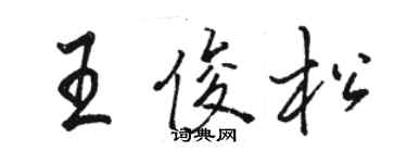 駱恆光王俊松行書個性簽名怎么寫