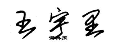 朱錫榮王宇里草書個性簽名怎么寫