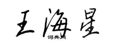 王正良王海星行書個性簽名怎么寫