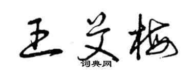 曾慶福王艾梅草書個性簽名怎么寫