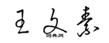 駱恆光王文素草書個性簽名怎么寫