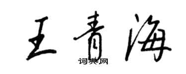 王正良王青海行書個性簽名怎么寫