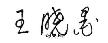 駱恆光王曉墨草書個性簽名怎么寫