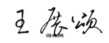 駱恆光王展頌草書個性簽名怎么寫