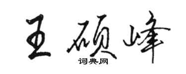 駱恆光王碩峰行書個性簽名怎么寫