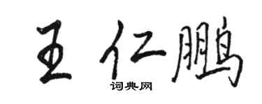 駱恆光王仁鵬行書個性簽名怎么寫