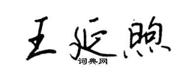 王正良王延煦行書個性簽名怎么寫