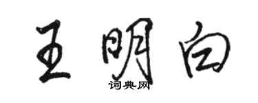 駱恆光王明白行書個性簽名怎么寫