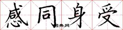 丁謙感同身受楷書怎么寫
