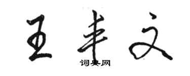 駱恆光王豐文行書個性簽名怎么寫