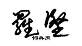 朱錫榮羅堅草書個性簽名怎么寫