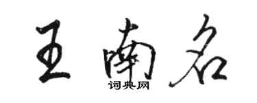 駱恆光王南名行書個性簽名怎么寫