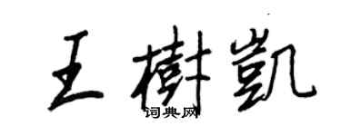 王正良王樹凱行書個性簽名怎么寫