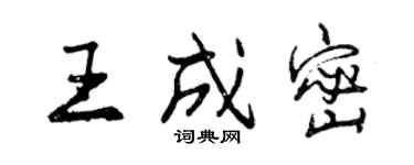 曾慶福王成密行書個性簽名怎么寫